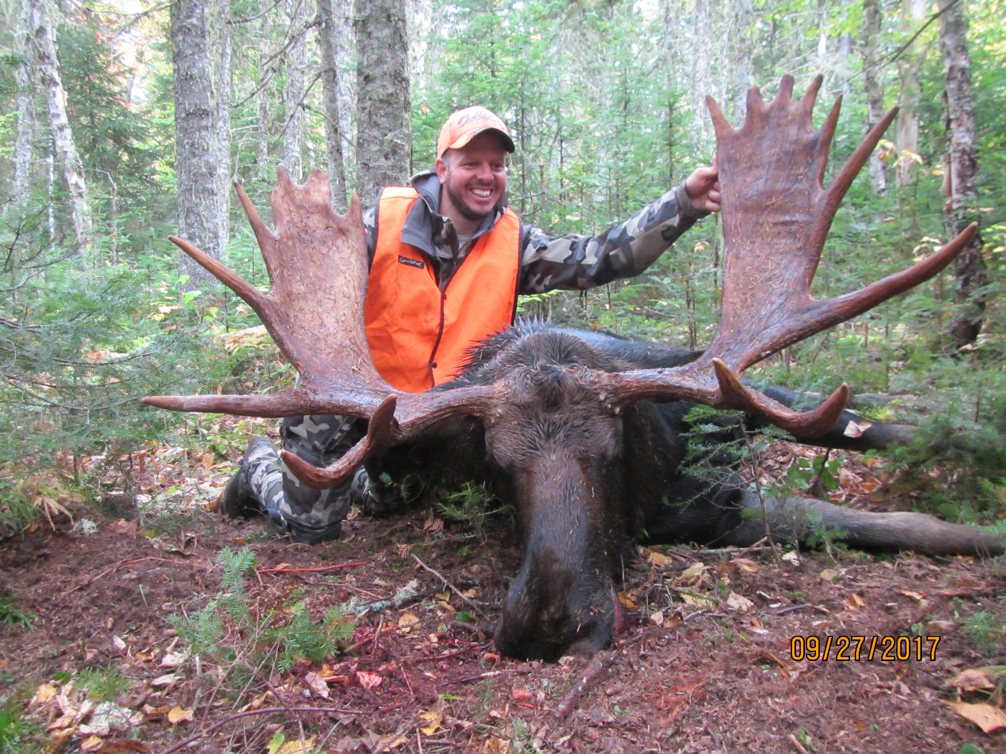 Moose Hunting