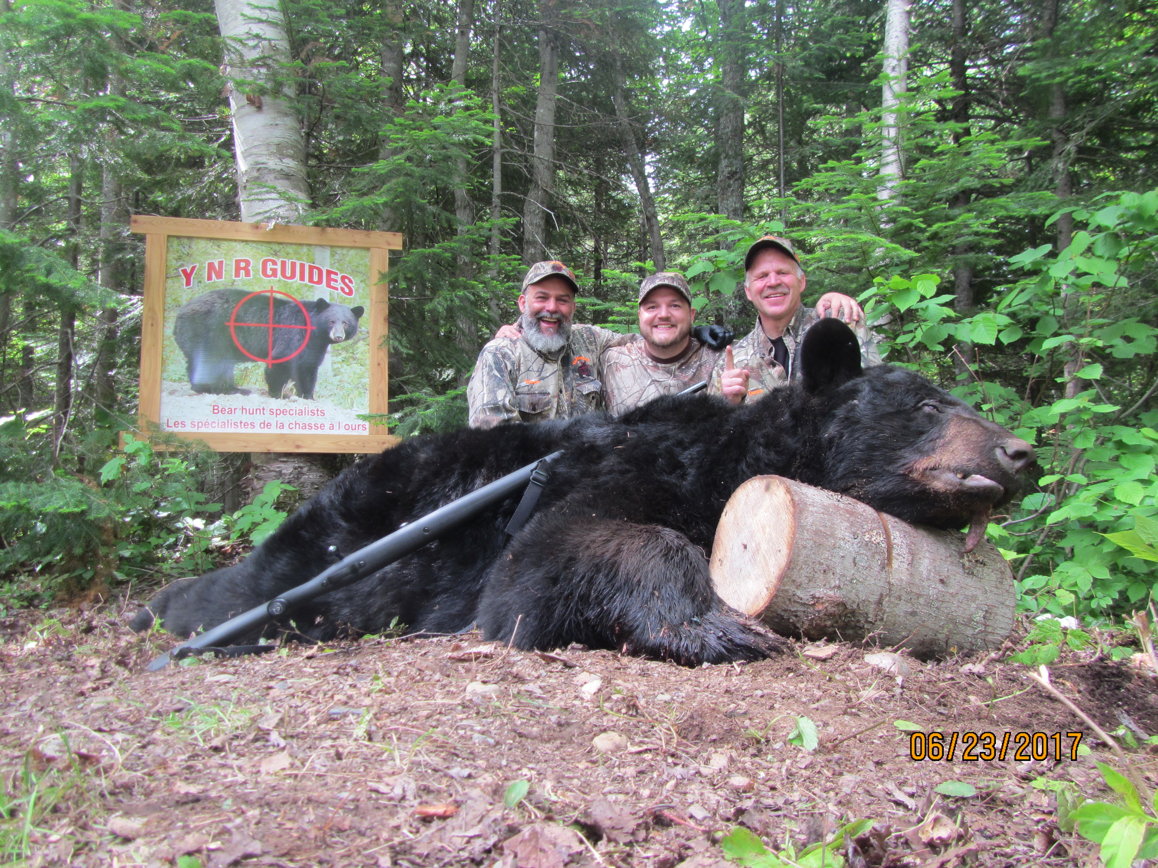 Black Bear Hunting